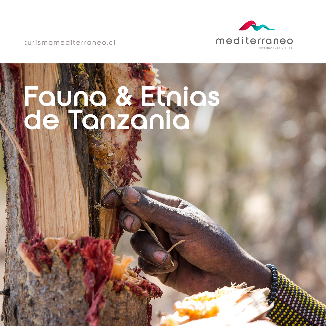 Fauna y Etnias de Tanzania